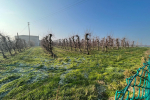 rustico-orti-1.jpeg