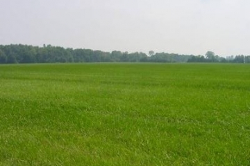 Terreni edificabili in vendita
