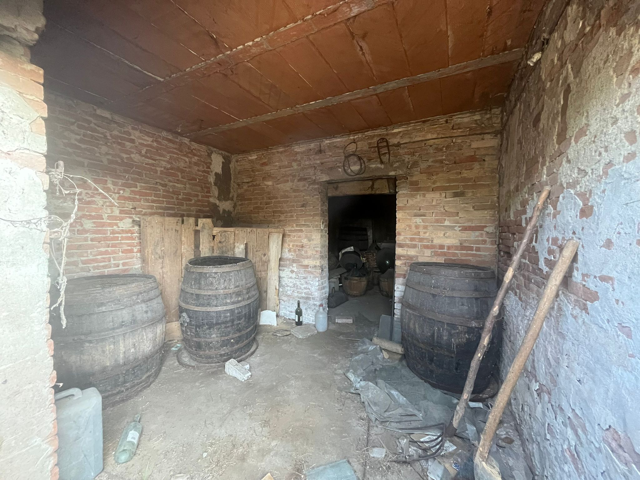 rustico-indipendente-orti-di-bonavigo-1.jpeg
