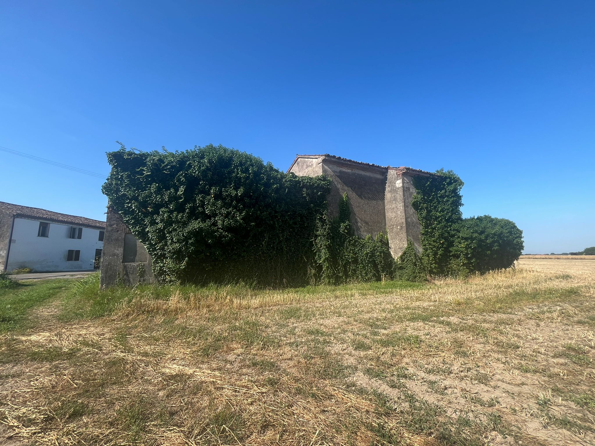 rustico-indipendente-orti-di-bonavigo-10.jpeg