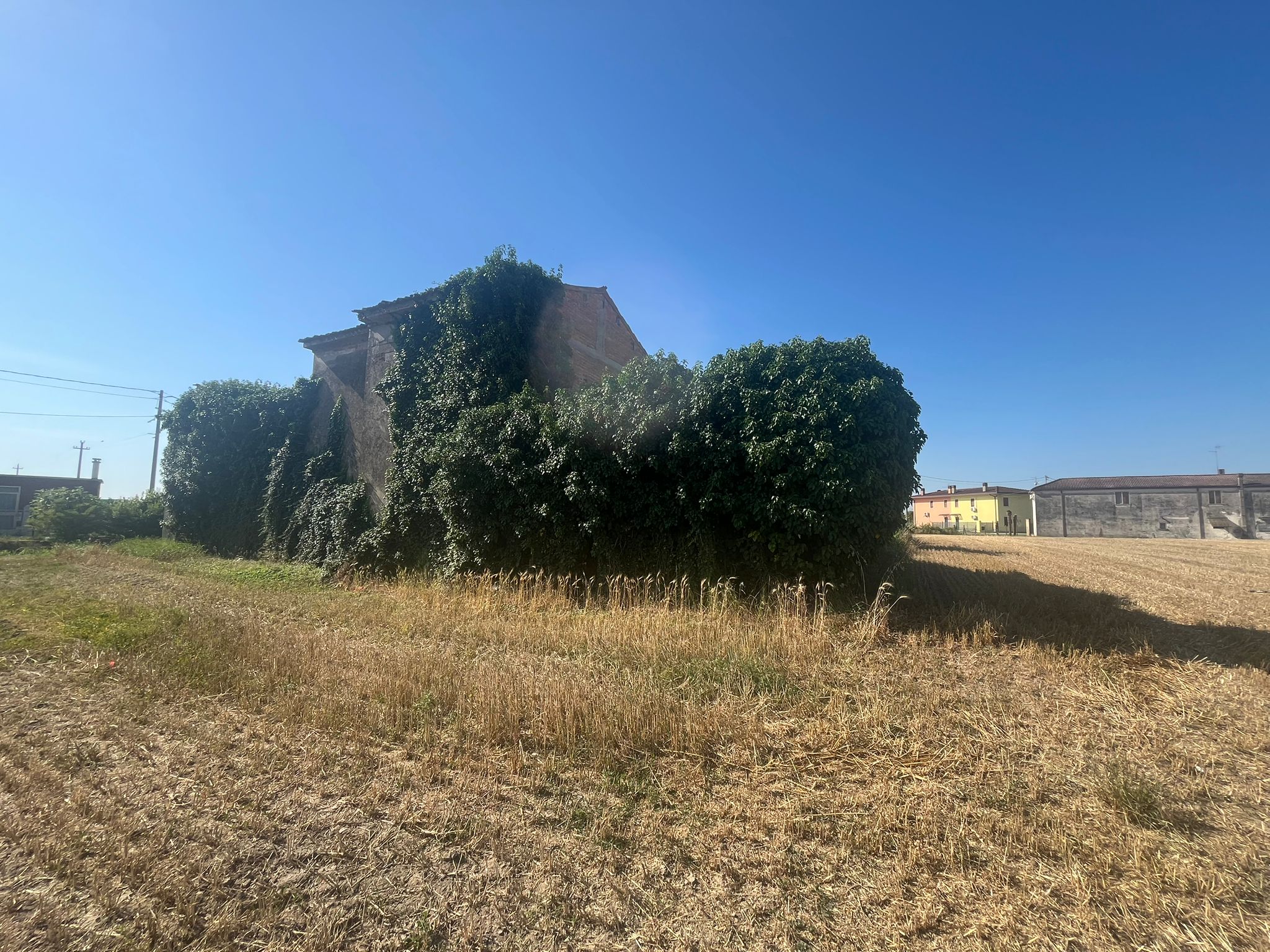 rustico-indipendente-orti-di-bonavigo-11.jpeg