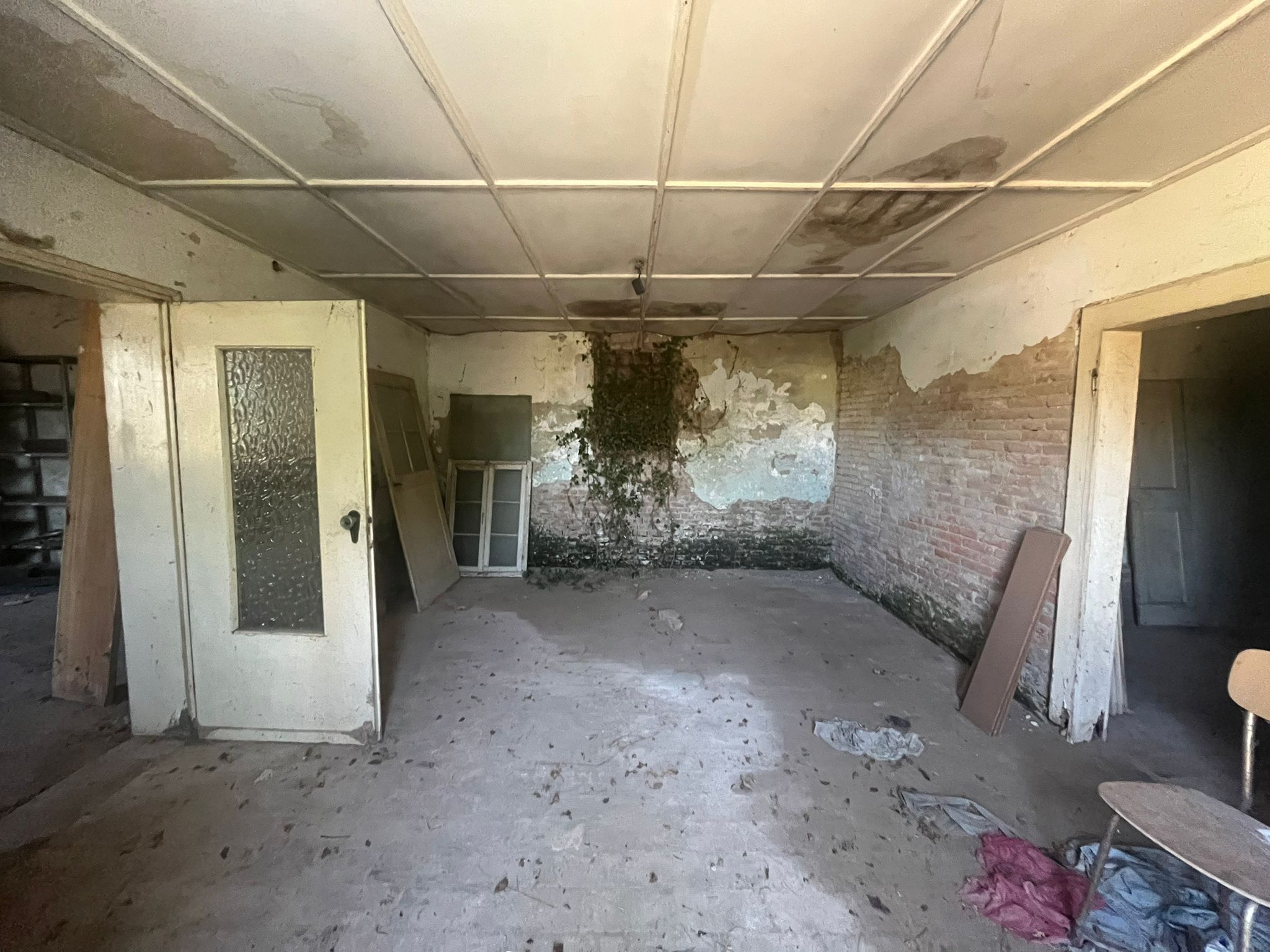 rustico-indipendente-orti-di-bonavigo-13.jpeg