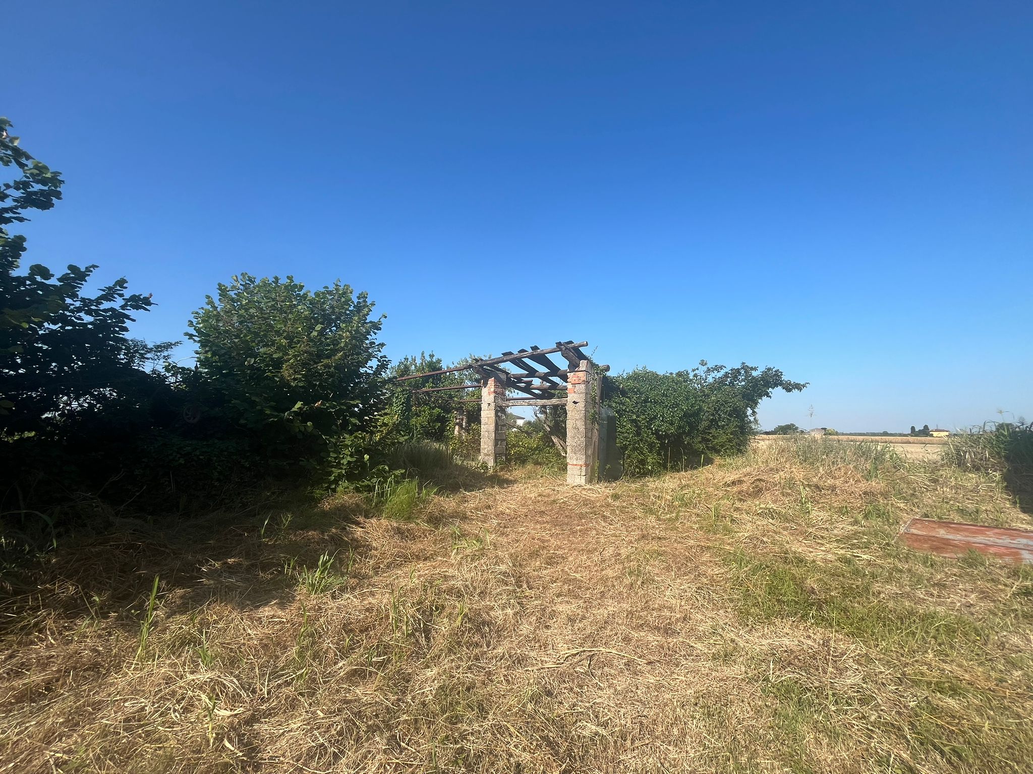 rustico-indipendente-orti-di-bonavigo-6.jpeg