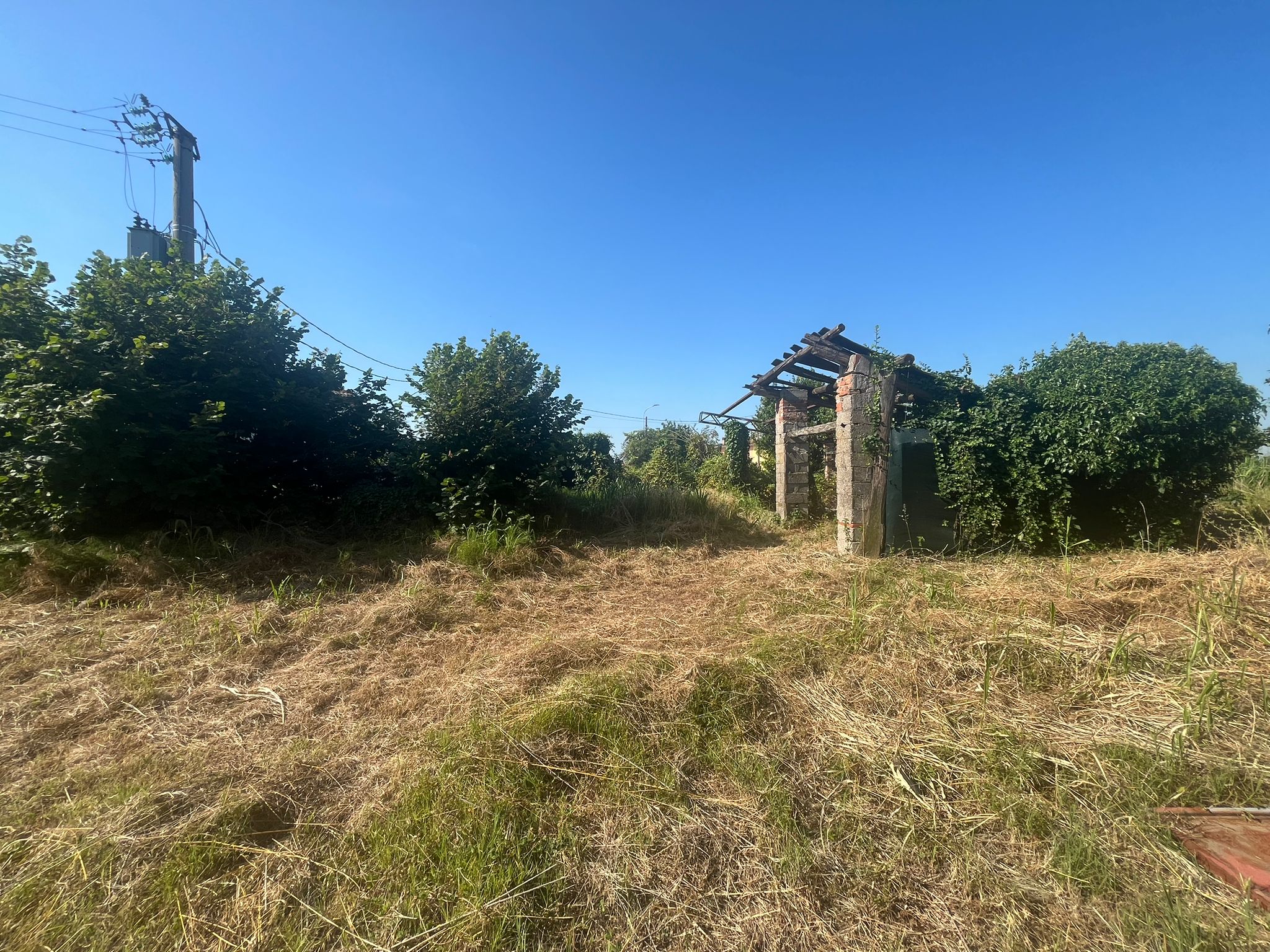 rustico-indipendente-orti-di-bonavigo-9.jpeg